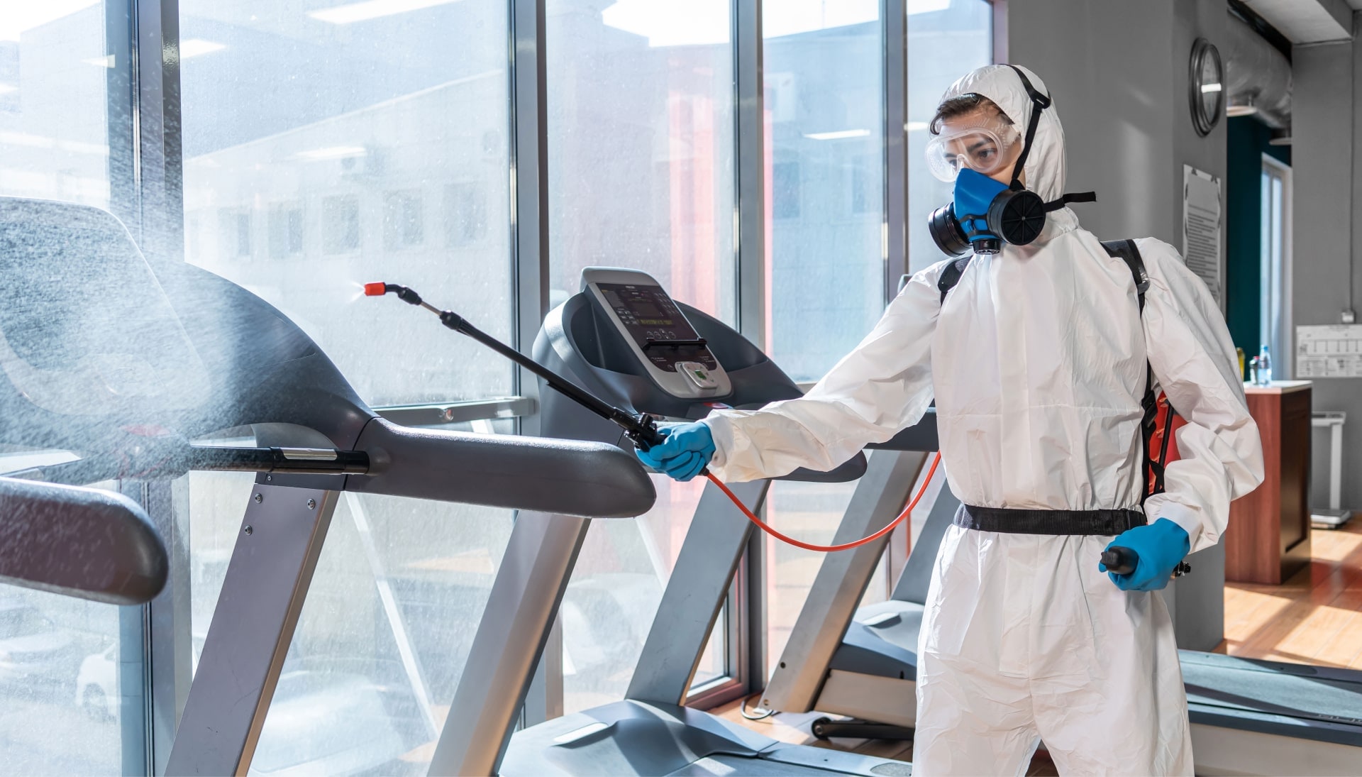 Commercial Mold Removal Services in Vancouver