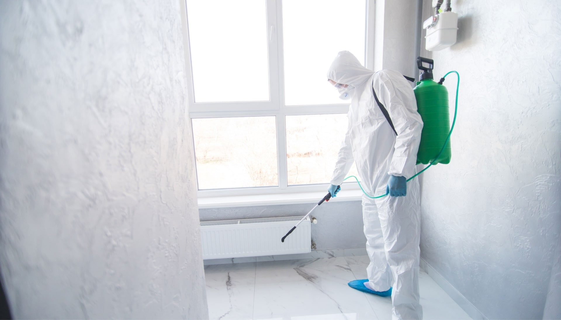 Mold Inspection Services in Vancouver